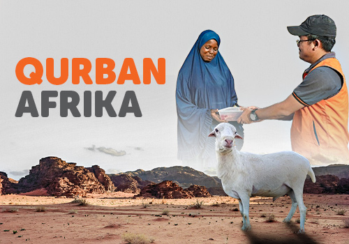 Qurban Kambing Afrika