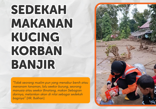 Sedekah Makanan Kucing 