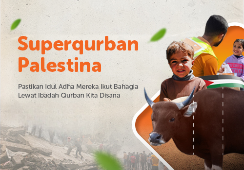 Superqurban Kerbau 1/7 Palestina