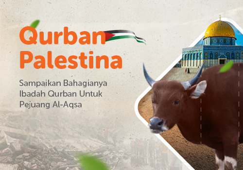 Qurban 1/7 Sapi Al Quds