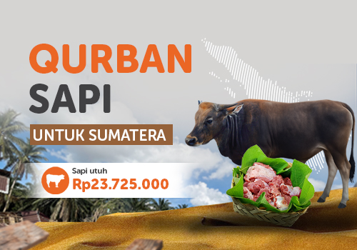 Qurban Sapi Untuk Sumatera