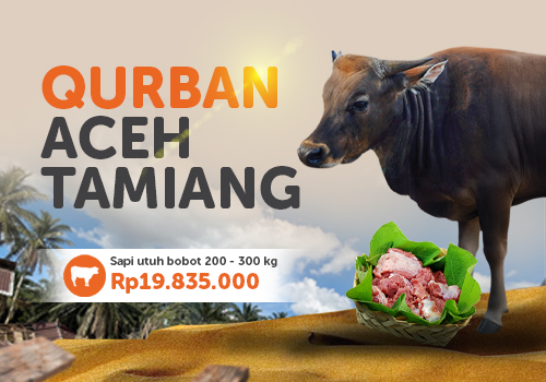 Qurban Sapi Untuk Aceh Tamiang