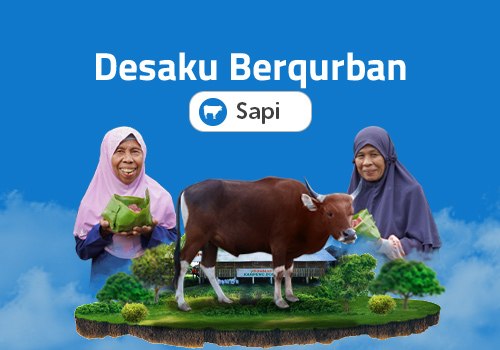 Desaku Berqurban Sapi MyPertamina