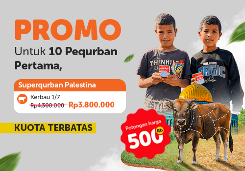 Superqurban Kerbau 1/7 Palestina