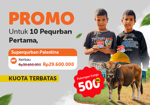 Superqurban Kerbau Palestina