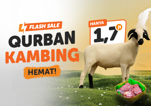 Qurban Kambing Flashsale